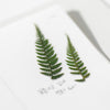 Appree Korea - Pressed Flower Stickers - Bracken