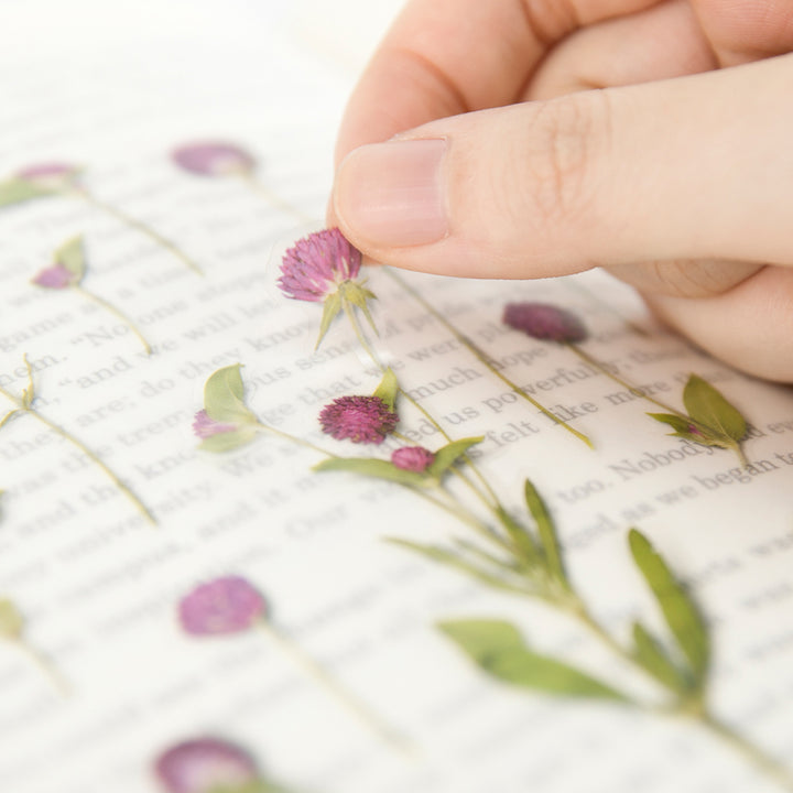 Appree Korea - Pressed Flower Stickers - Globe Amaranth