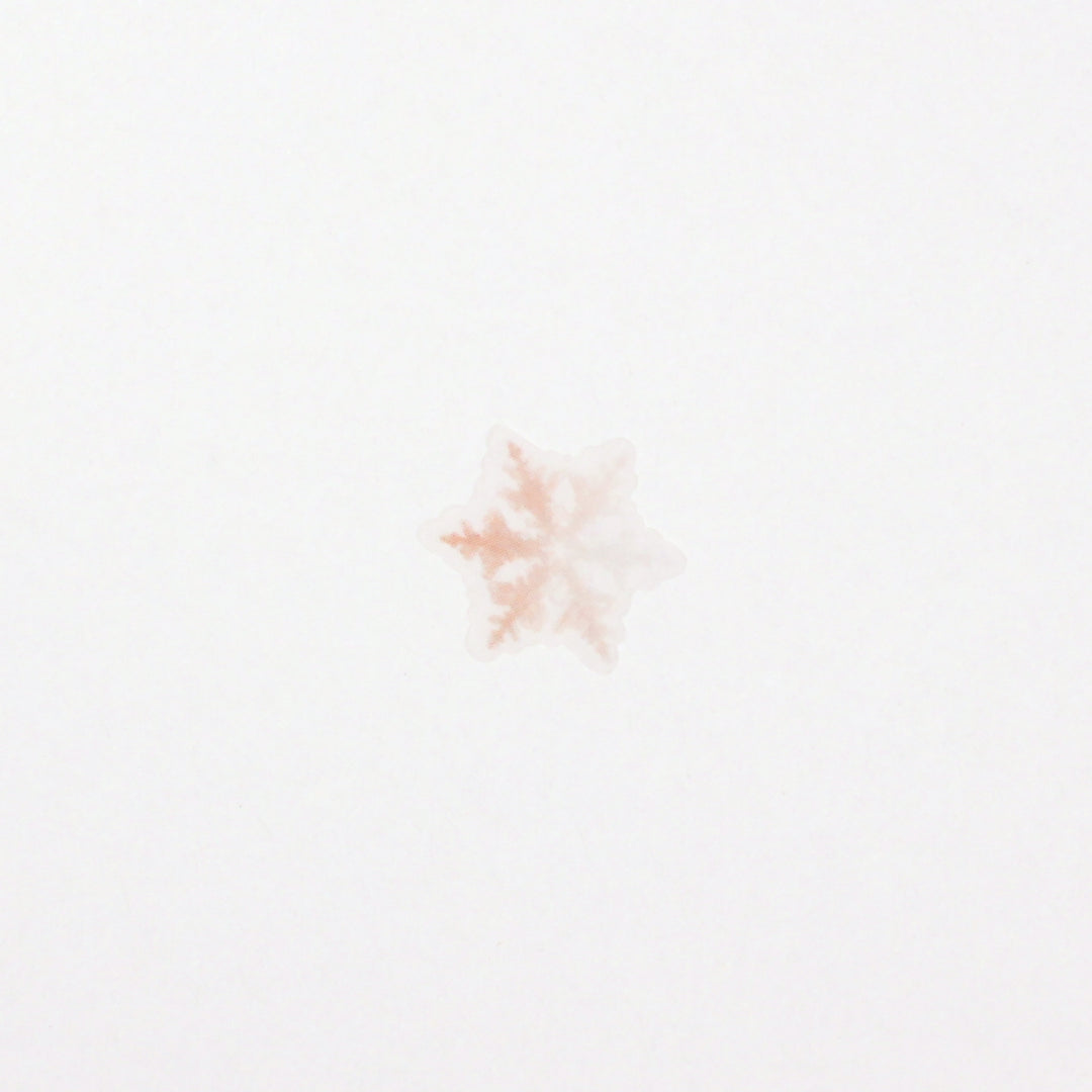 Appree Korea - Nature Stickers - Snowflake