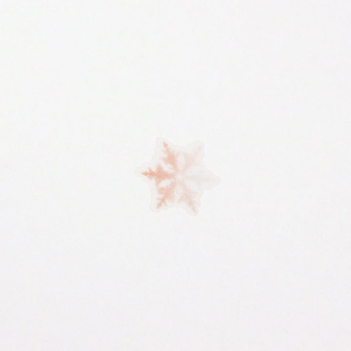 Appree Korea - Nature Stickers - Snowflake