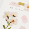 Appree Korea - Pressed Flower Stickers - Cherry Blossom