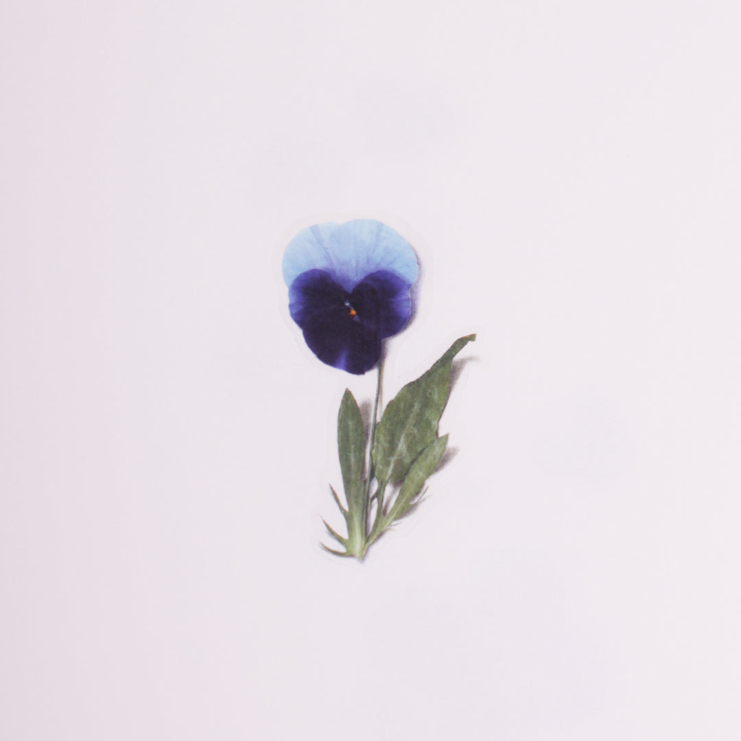 Appree Korea - Pressed Flower Stickers - Pansy
