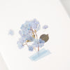 Appree Korea - Pressed Flower Stickers - Hydrangea