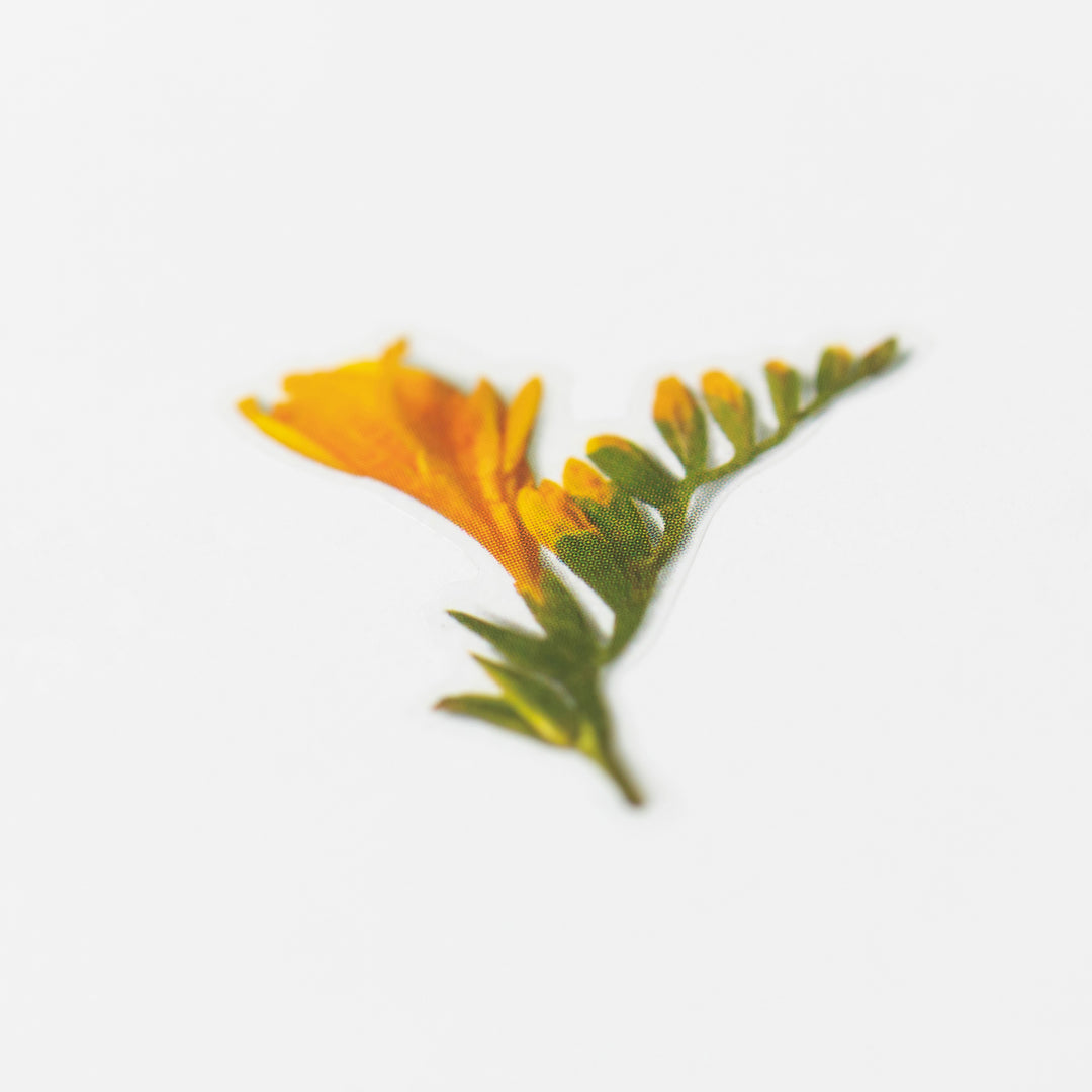 Appree Korea - Pressed Flower Stickers - Freesia