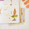 Appree Korea - Pressed Flower Stickers - Salvia
