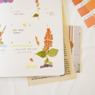 Appree Korea - Pressed Flower Stickers - Salvia