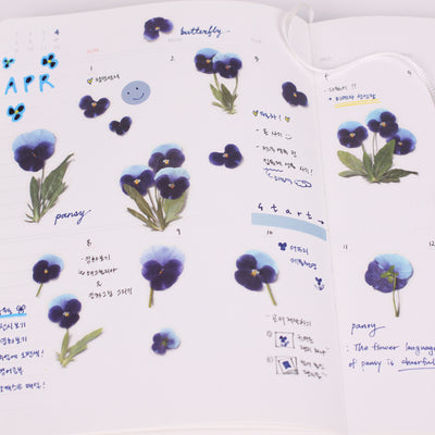 Appree Korea - Pressed Flower Stickers - Pansy