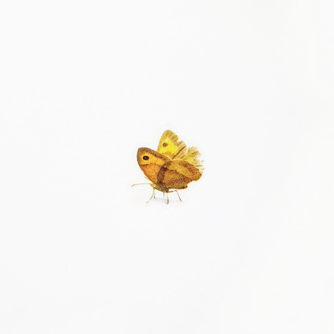 Appree Korea - Nature Stickers - Butterflies