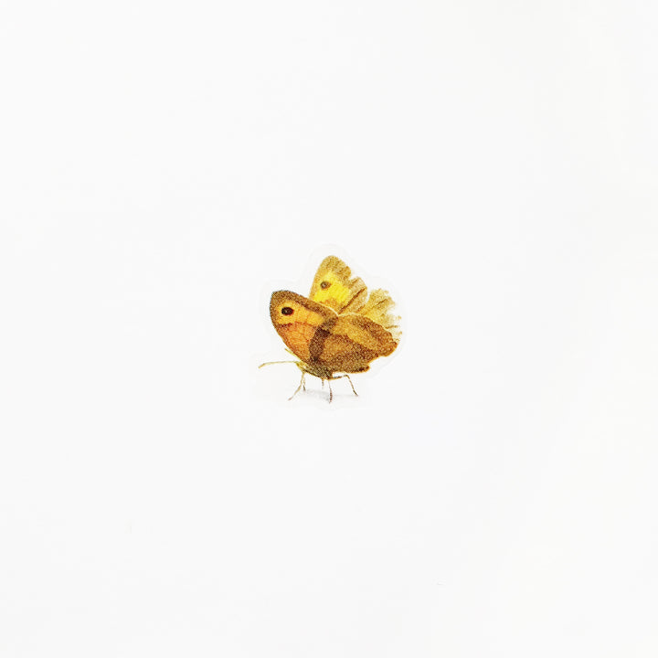 Appree Korea - Nature Stickers - Butterflies