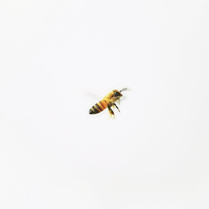Appree Korea - Nature Stickers - Honeybee