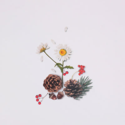 Appree Korea - Nature Stickers - Pine