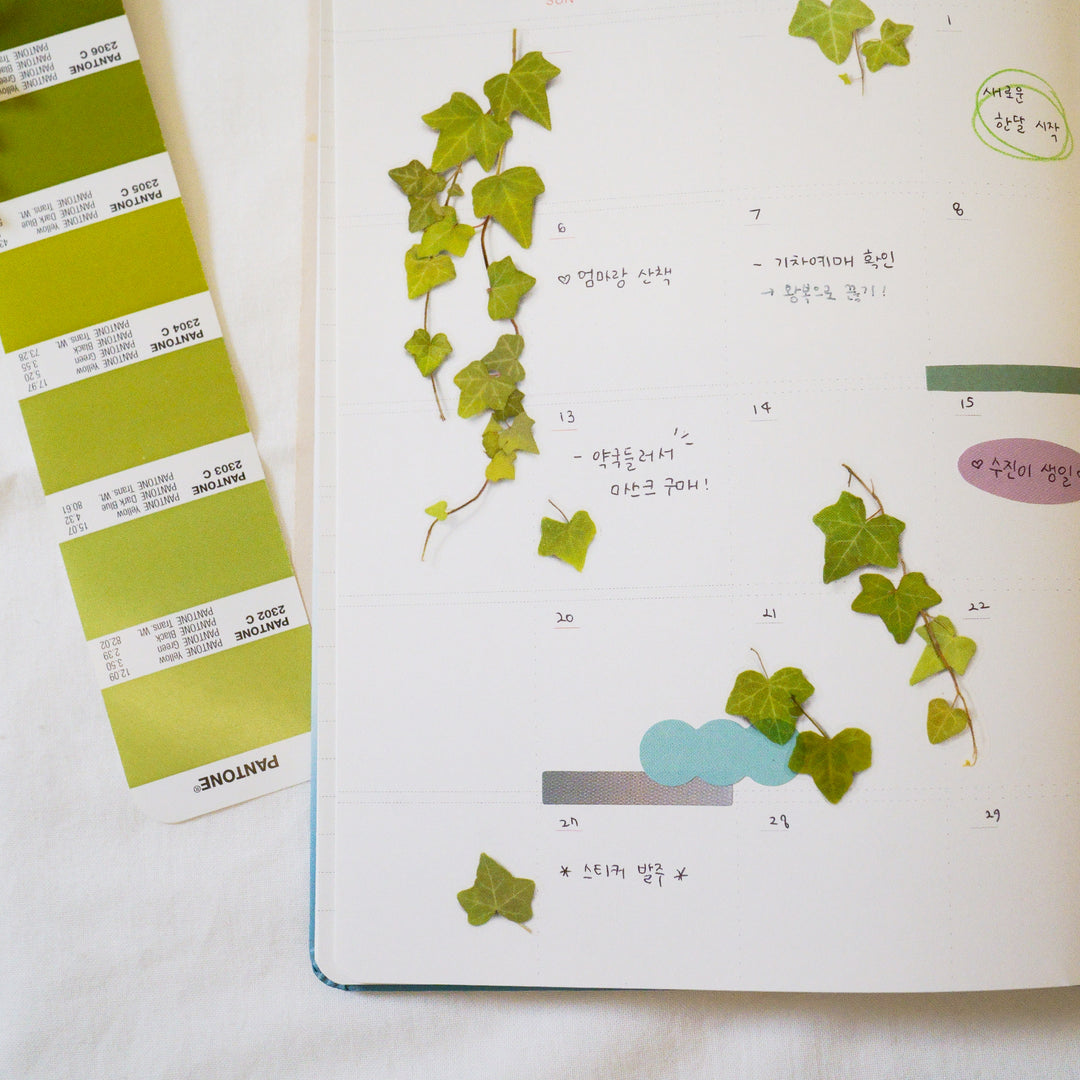 Appree Korea - Pressed Flower Stickers - Ivy