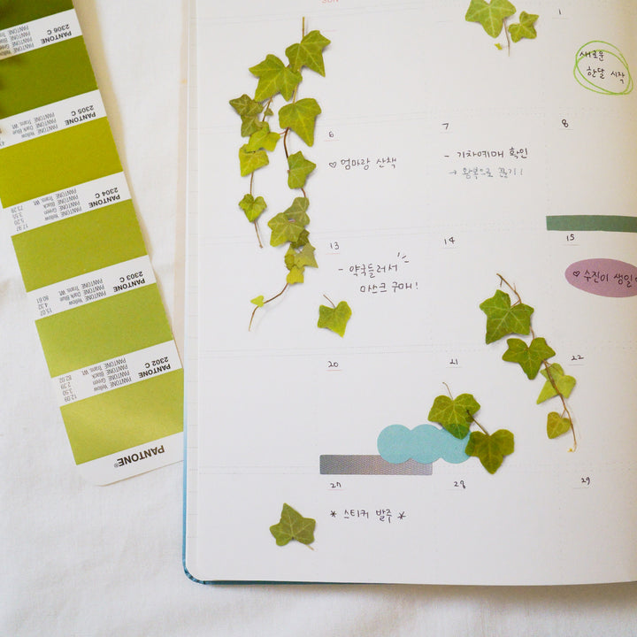 Appree Korea - Pressed Flower Stickers - Ivy
