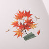 Appree Korea - Pressed Flower Stickers - Red Maple Leaves