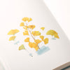 Appree Korea - Pressed Flower Stickers - Ginkgo