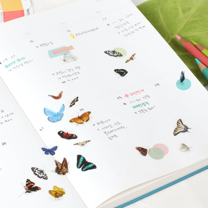 Appree Korea - Nature Stickers - Butterflies