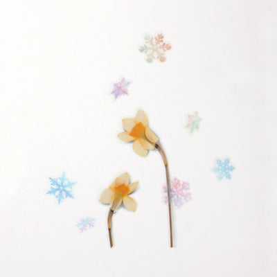 Appree Korea - Nature Stickers - Snowflake