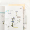 Appree Korea - Pressed Flower Stickers - Moss Phlox