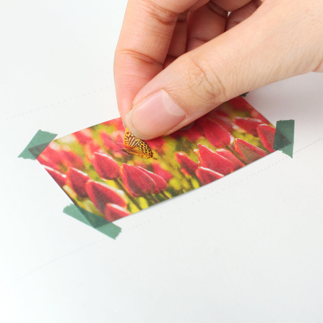 Appree Korea - Nature Stickers - Butterflies