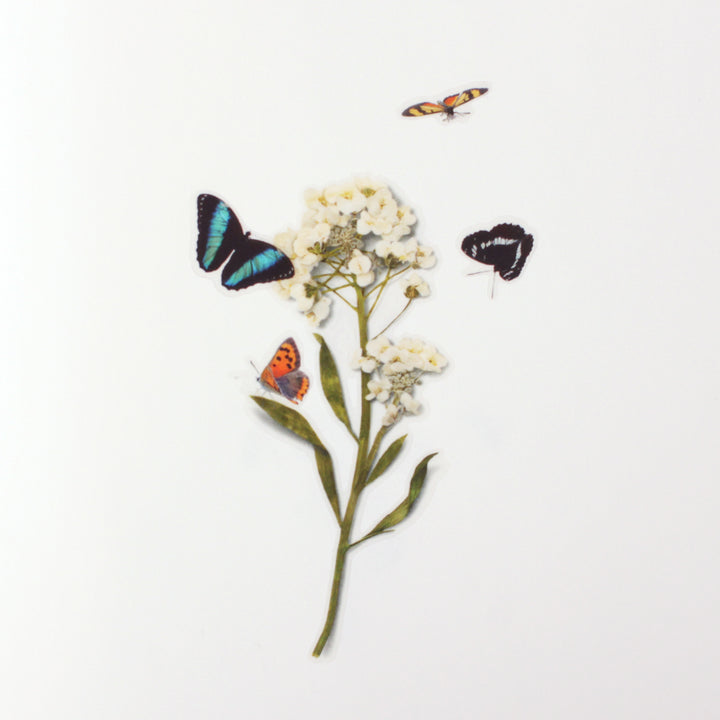 Appree Korea - Nature Stickers - Butterflies