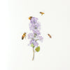 Appree Korea - Nature Stickers - Honeybee