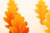Appree Korea - Bookmark Pen - Autumn Oak Leaf