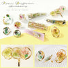 Assorted Dried Flower Pack - Mixed Colours (Set A)