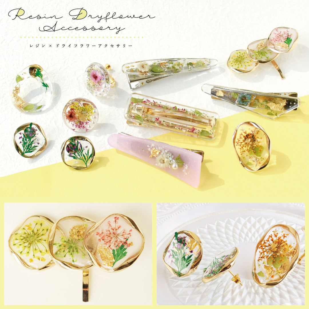 Assorted Dried Flower Pack - Mixed Colours (Set B)
