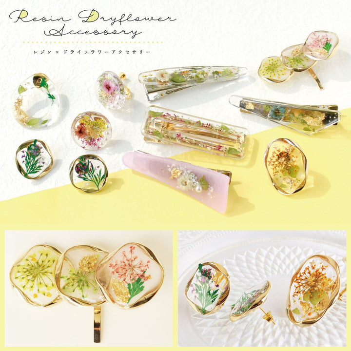 Assorted Dried Flower Pack - Mixed Colours (Set B)