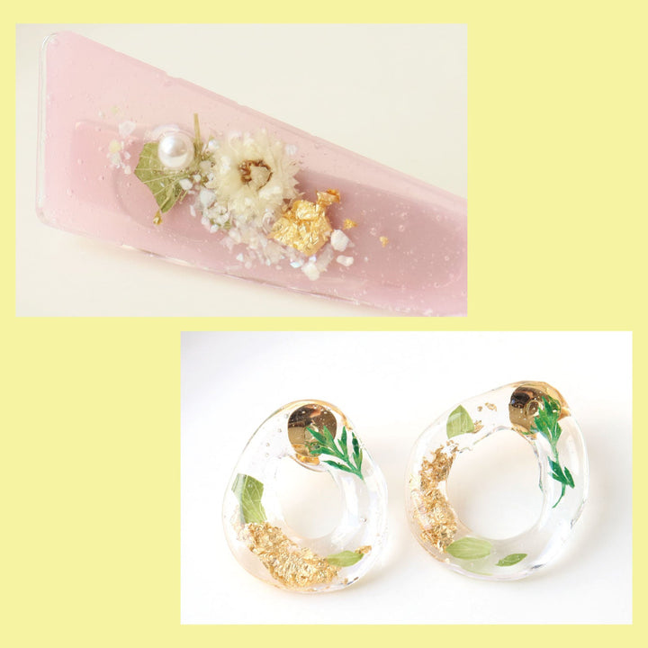 Assorted Dried Flower Pack - Mixed Colours (Set B)