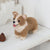 Hamanaka Needle Felting Kit - Welsh Corgi (English)