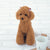 Hamanaka Realistic Needle Felting Kit - Toy Poodle