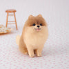 Hamanaka Aclaine Acrylic Fibre Needle Felting Kit - Pomeranian (English)