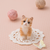 Hamanaka Aclaine Needle Felting Kit - Ginger Cat (English)