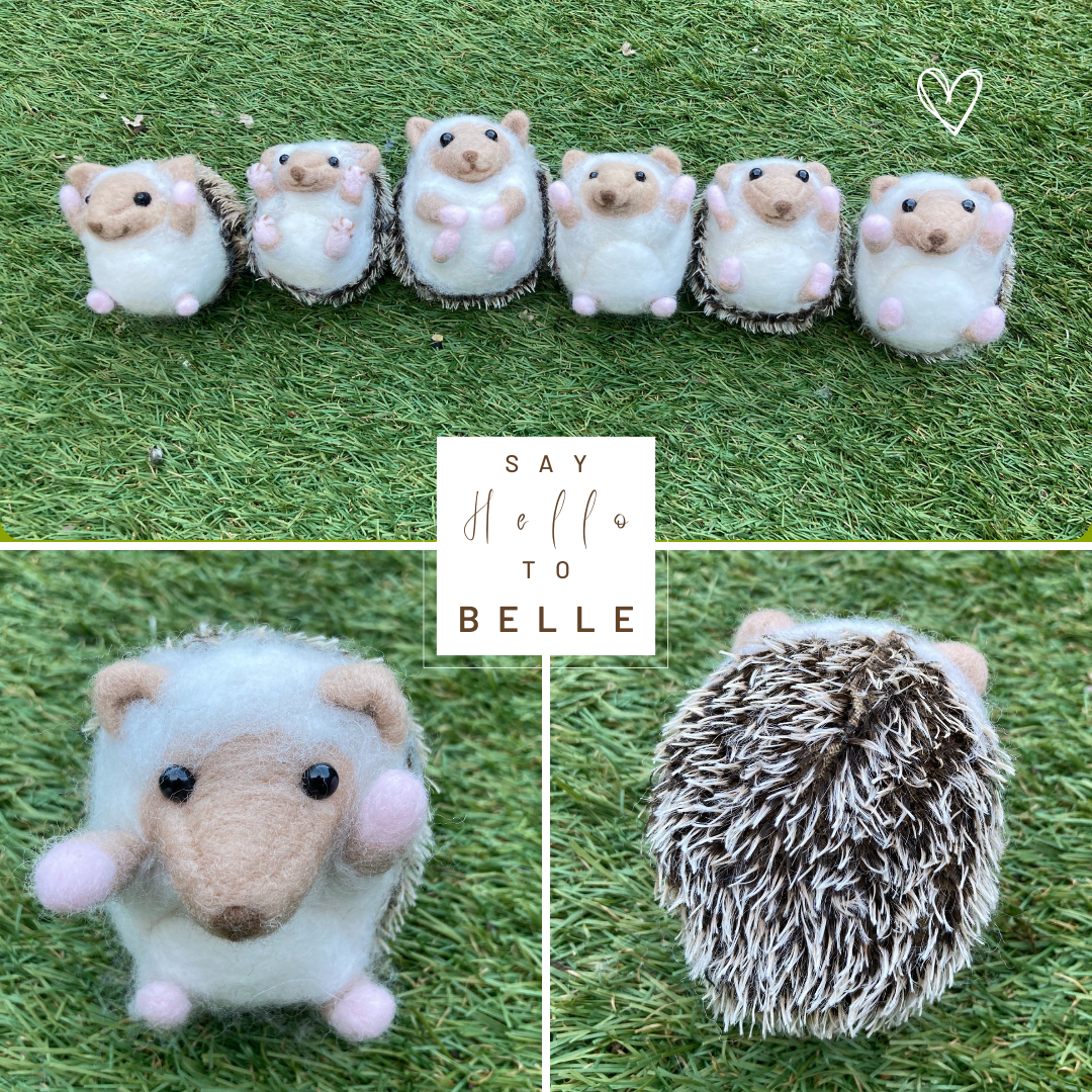 Handmade Felted Hedgehog - Belle