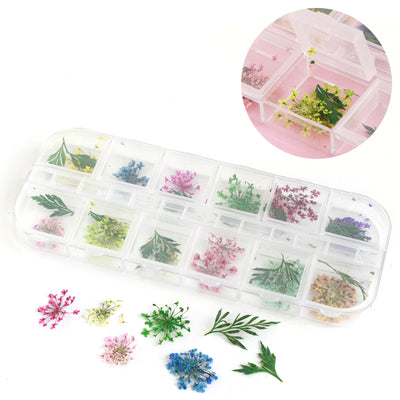 Assorted Dried Flower Pack - Mixed Colours (Set B)