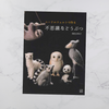 Japanese Needle Felting Book - Mysterious Animals - Sachiko Susa