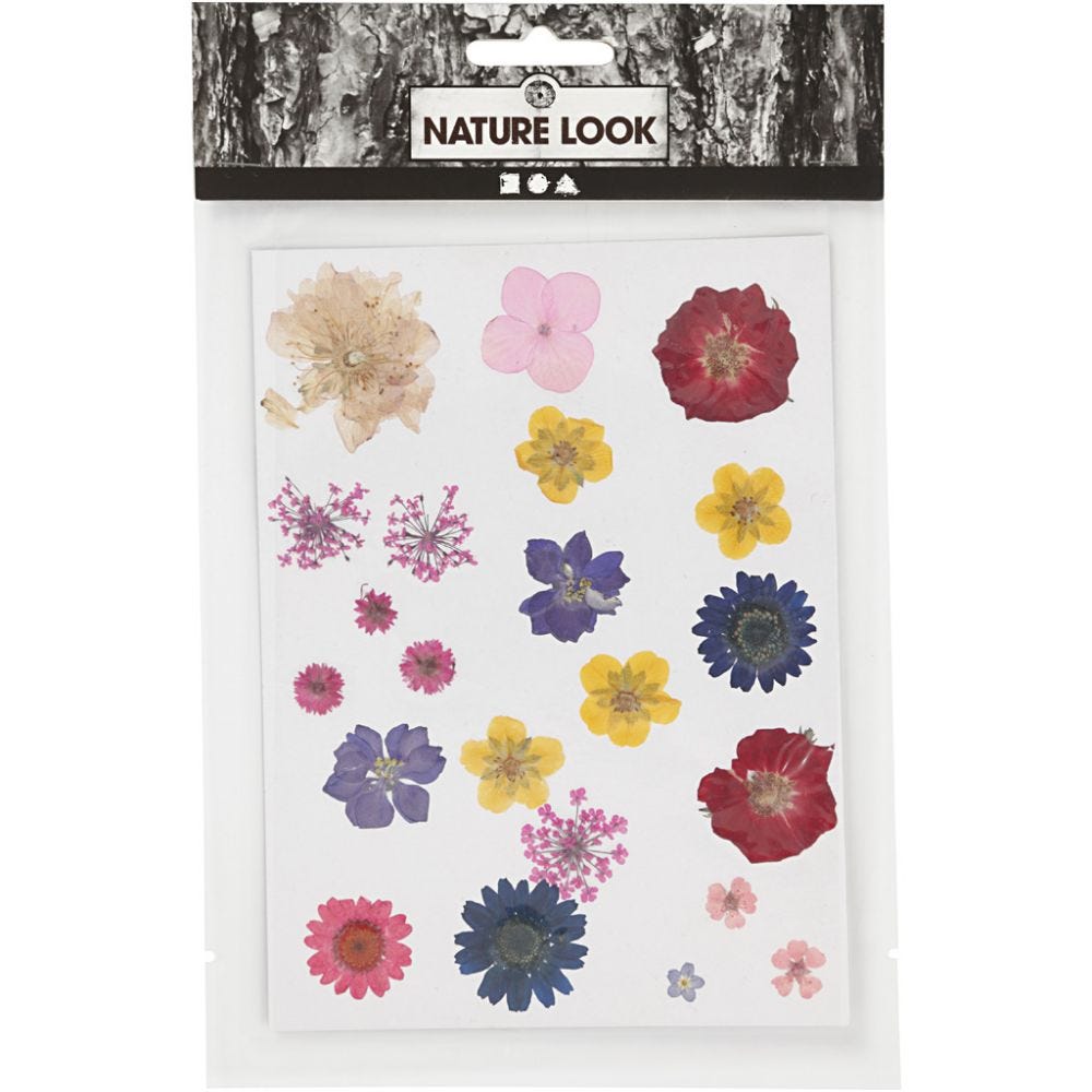Pressed Flower Pack - Mixed Colours