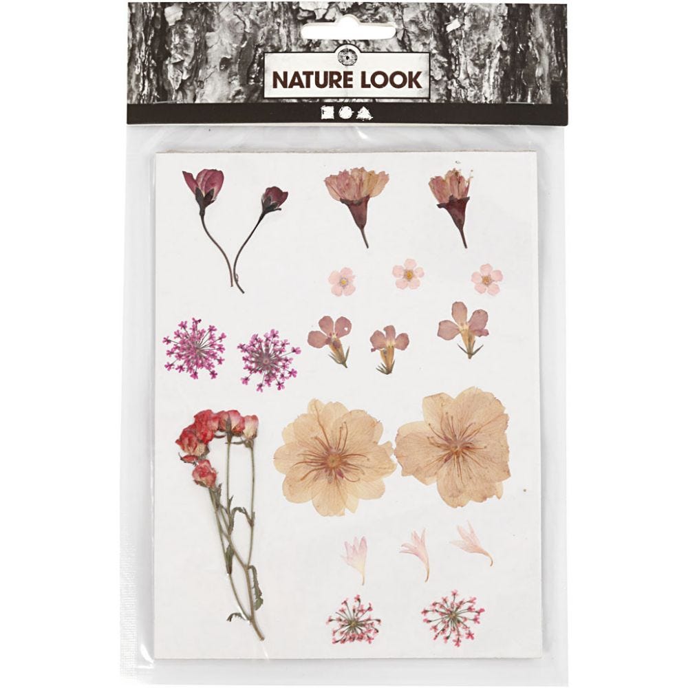 Pressed Flower & Leaves Pack - Light Pink / Red