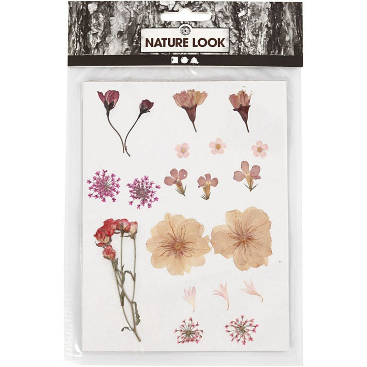 Pressed Flower & Leaves Pack - Light Pink / Red