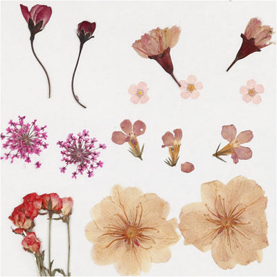 Pressed Flower & Leaves Pack - Light Pink / Red