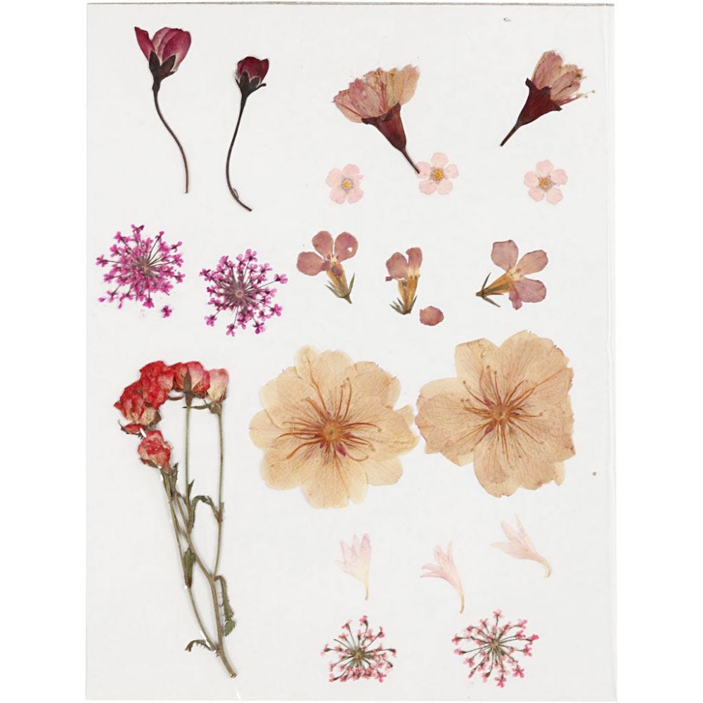 Pressed Flower & Leaves Pack - Light Pink / Red