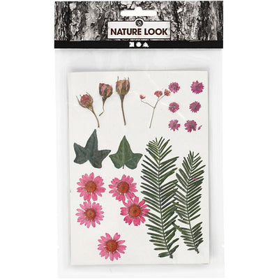 Pressed Flower & Leaves Pack - Pink