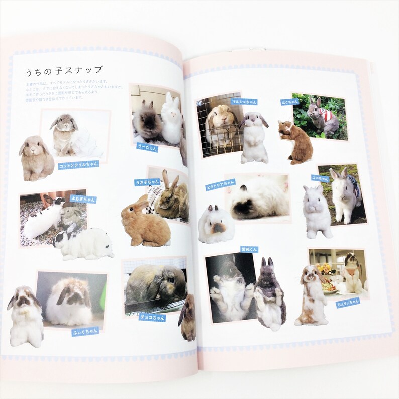 Japanese Realistic Rabbits Needle Felting Book - Makiko Hata
