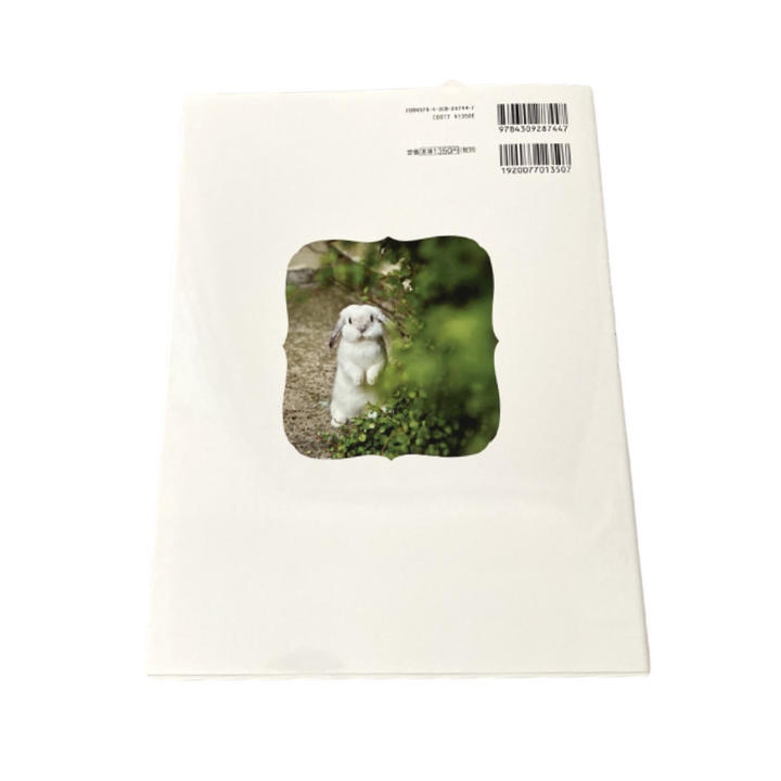 Japanese Realistic Rabbits Needle Felting Book - Makiko Hata