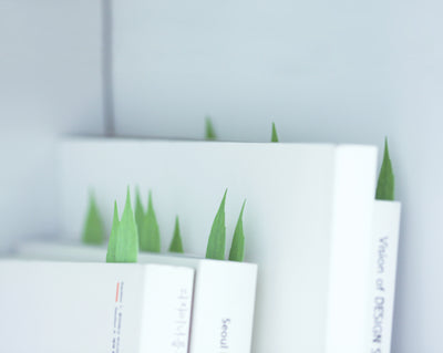 Appree Korea - Sticky Notes - Green Birch Leaf (Large Pack)