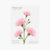 Appree Korea - Sticky Notes - Pink Carnation (Large Pack)