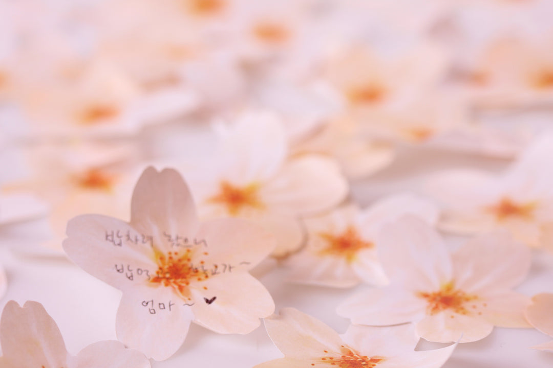 Appree Korea - Sticky Notes - White Cherry Blossom (Large Pack)