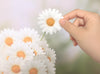 Appree Korea - Sticky Notes - White Daisy (Large Pack)