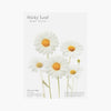 Appree Korea - Sticky Notes - White Daisy (Large Pack)